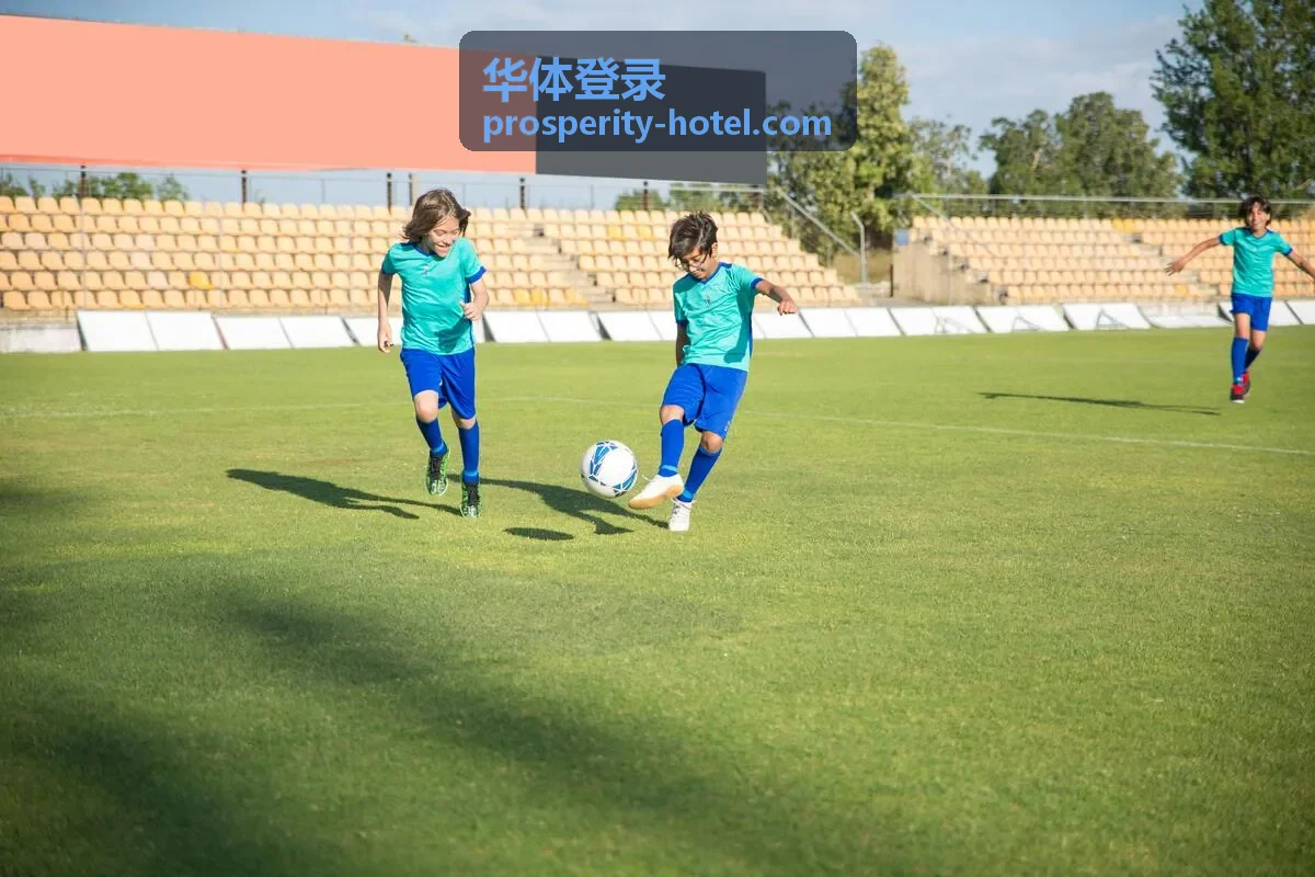 华体登录分级权限管理界面